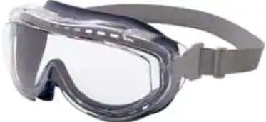 A pair of goggles with clear lenses.